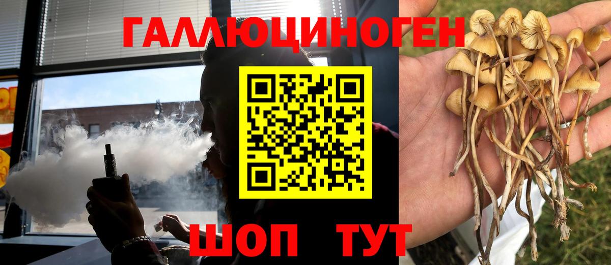 Псилоцибиновые грибы Cubensis Ухта