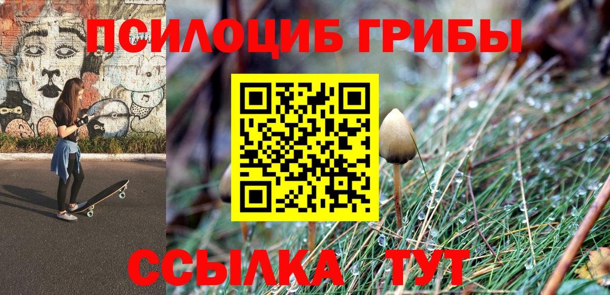 Ухта  Псилоцибиновые грибы Cubensis  Вход с VPN 